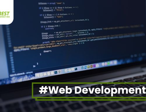 Web Design and Web Development Guidelines in 2019