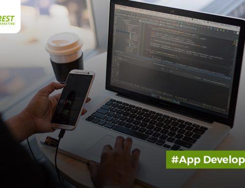 Being an App Developer 101: The Ultimate Guide for Newbies